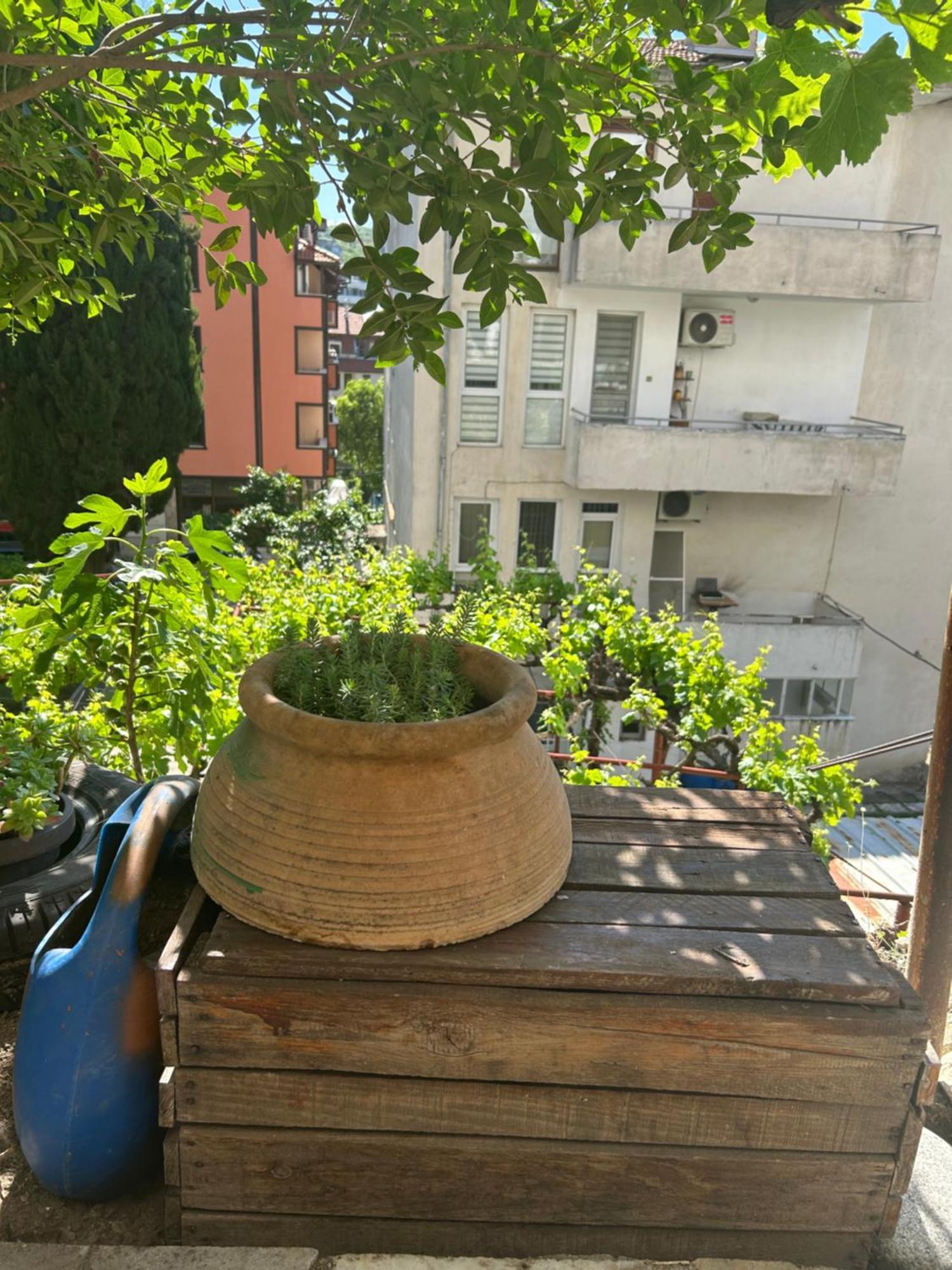 Didi House Sandanski Exterior foto