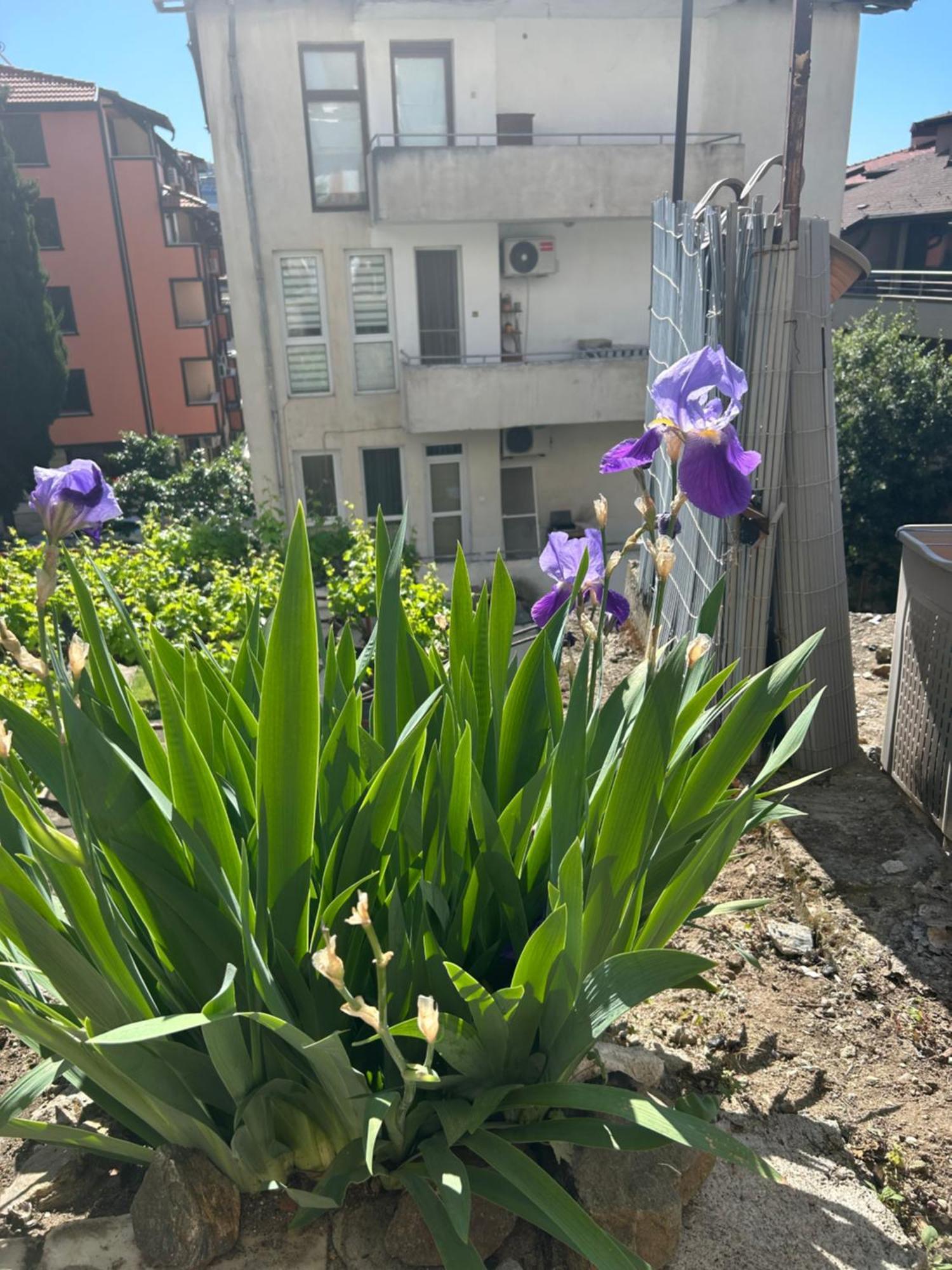 Didi House Sandanski Exterior foto