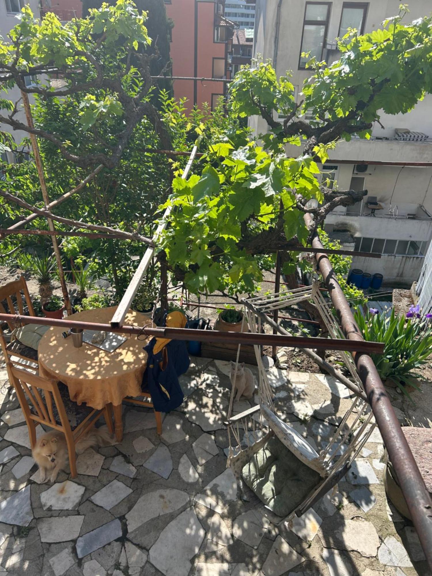 Didi House Sandanski Exterior foto